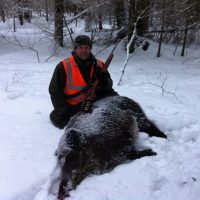 Wild Boar Hunt