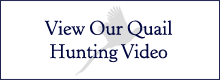 View Our Quail Hunting Video